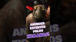 Animais Extintos Pelo Homem: Você Não Vai Acreditar no Último!