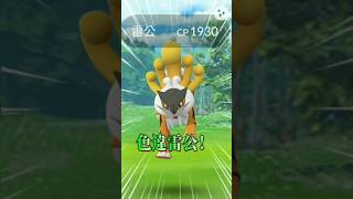 色違雷公降臨 ！！開抓#雷公#ライコウ #Raikou#0243#pokemon #shorts#團體戰 #pokemongo#精靈寶可夢 #寶可夢#降臨#色違#開心#圖鑑#心情好 #lucky