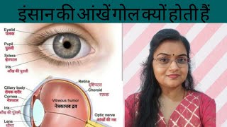 Human Eye|इंसान की आंखें गोल क्यों होती हैं|Structure of Human Eye