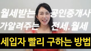 월세받는 공인중개사가 알려주는 전세.월세 세입자 빨리 구하는 방법 5단계!