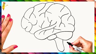 How To Draw The Human Brain Step By Step 🧠 Brain Drawing Easy