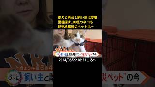 【告知】愛犬と再会し飼い主は安堵里親探す100匹のネコも能登地震後のペットは…