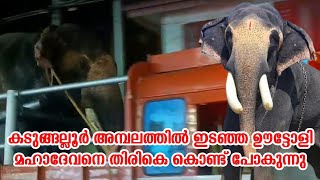 ഇടഞ്ഞ ഊട്ടോളി മഹാദേവനെ തിരികെ കൊണ്ട് പോകുന്നു | uttoly mahadevan | uttoly mahadevan elephant attack