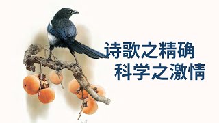 站在科学与艺术的交汇点 | Zeng Xiaolian【摄影务虚笔记】