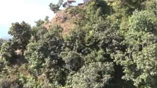 EXTREME LOW PASS!!! (paragliding) on the Sarangkot mountain. Pokhara, Nepal. (Video HD)