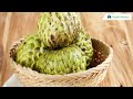 wild sweetsop ఈ కళ్ళు ఒక్కసారి తింటే చాలు అంతులేని లాభం dr manthena satyanarayana raju