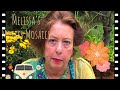 Short intro to Melissa‘s mosaics instructional video channel