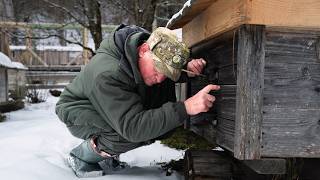 How A Man Living in the Mountains: Caring for Wild Animals & Crafting Art from Nature