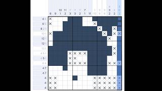 Nonogram Puzzle Marathon