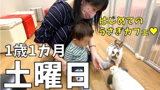 【1歳1カ月と過ごす休日】家事育児をした後は初めてのウサギカフェへ✨休日ルーティン