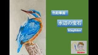 【色鉛筆画】水辺の宝石；カワセミ  How to draw a kingfisher with colored penicls