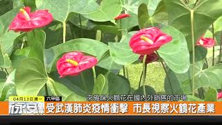 1090413新永安新聞-受武漢肺炎疫情衝擊 市長視察火鶴花產業