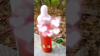 超活跃的红桑椹酵素