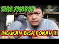 CARA MEMBUAT MERPATI POS BISA POMAH || Tips membuat burung dara pos bisa giring kandang