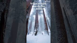 Wyd for $1,000,000 #nature #getoutside #subscribe #shorts #wyd #edit #memes