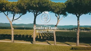 Guado al Tasso, Bolgheri