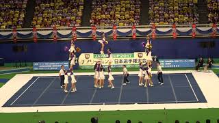 2017 JAPAN CUP 優勝　　梅花女子大学／RAIDERS（大阪府）　397.0 = 129.5 + 267.5