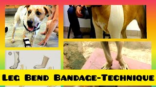 Dog#Leg-Bend #Bandages#Methods#