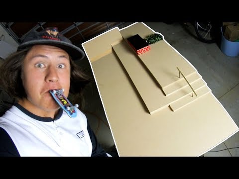 D.I.Y FINGERBOARD SKATEPARK IN ONE DAY CHALLENGE! D.I.Y FINGERBOARD SKATEPARK IN ONE DAY CHALLENGE!