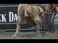 PBR's Robson Palermo wins Nashville with 92.5 points on Smackdown