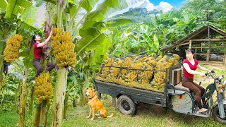 Harvest Big Bunch of Bananas, Sell at the Countryside Market, and Buy Ducklings to Raise