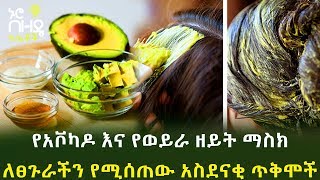 Ethiopia:- የአቮካዶ እና የወይራ ዘይት ማስክ ለፀጉራችን የሚሰጠው አስደናቂ ጥቅሞች  | Nuro Bezede Girls