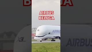 Facts About Airbus Beluga | পৃথিবীর সবথেকে বড় বিমান