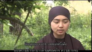 ZEN 2010 ตอนที่ 8 พลัม เมล็ดพันธุ์แห่งความสุข 2