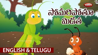 Moral Values Stories in Telugu \u0026 English (సోమరిపోతు మిడత) Telugu Stories