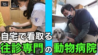 【ペットの在宅医療】自宅に診に来てくれる獣医さん達（はる動物診療所：櫻井先生・アニマルライフパートナー：丸田先生）