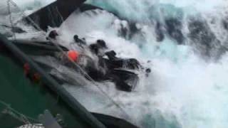 Japanese whaling vessel, Shonan Maru No. 2, rams Sea Shepherd's Ady Gil in Antarctica