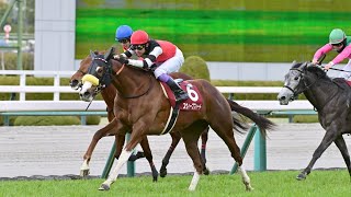 【重賞】第31回チューリップ賞(桜花賞トライアル)実況[優勝馬　スウィープフィート　武豊騎手]