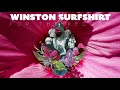 winston surfshirt for the record official audio