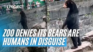 Zoo Denies Its Bears Are Humans In Disguise