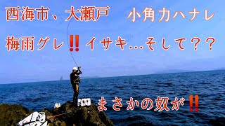 【大瀬戸】西海市大瀬戸[2020年]『小角力ハナレ』梅雨グレ・イサキ・そして奴！！