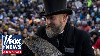 Punxsutawney Phil sees his shadow during Groundhog Day prediction