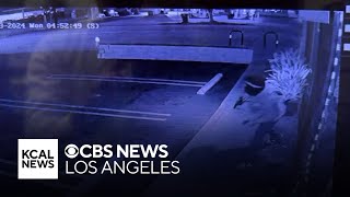 Police searching for burglars who hit several Glassell Park, Eagle Rock businesses