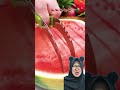 Alat Praktis Potong Semangka 🍉⁉️ #watermelon #food #goodthing #fruit #cooking #funny #gadgets