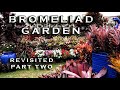 BROMELIAD GARDEN. A MUST SEE MASTERPIECE