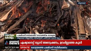 പക്ഷിപ്പനി : സർക്കാരിന്  സാമ്പത്തിക ബാധ്യത ; ആലപ്പുഴ ജില്ലയിൽ നല്കിയത് പതിനാല് കോടി രൂപ| Bird Flu