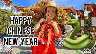 Happy Chinese New Year! #yearofsnake #chinesenewyear