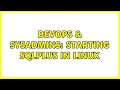 DevOps & SysAdmins: Starting SQLPlus in linux (2 Solutions!!)