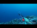 takapoto spearfishing 2