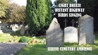 Relaxing Ambient Soundscape - Peaceful Cemetery - Light Breeze - Distant Highway - Birds Chirping