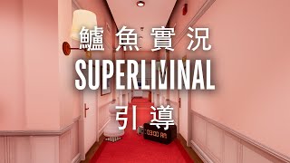 【鱸魚】超閾限空間 Superliminal (Part.1) 引導 [搞得我頭很暈]