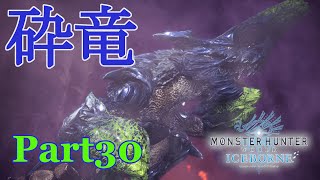 【MHWIB】モンハンワールド・アイスボーンpart30　『砕竜　ブラキディオス』　お手手prprからの右フック！　【STEAM】