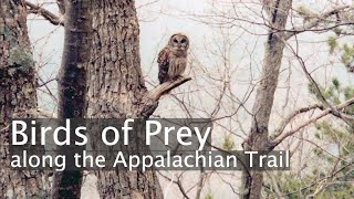 Ed-Venture: Birds of Prey along the Appalachian Trail