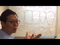 1 34.1 morphology 형태이론 authentic shape of central incisors중절치 최신버전