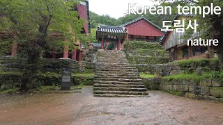 전남 곡성 도림사 Korean temple (with nature)Relaxing Healing