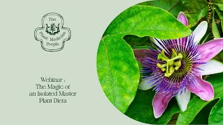 Webinar | The Incredible Portal of Isolated Master Plant Dietas